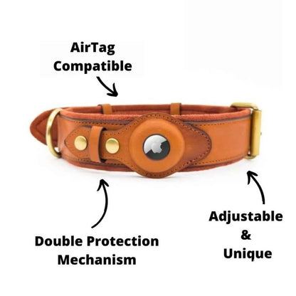 TrackPaw Secure Collar