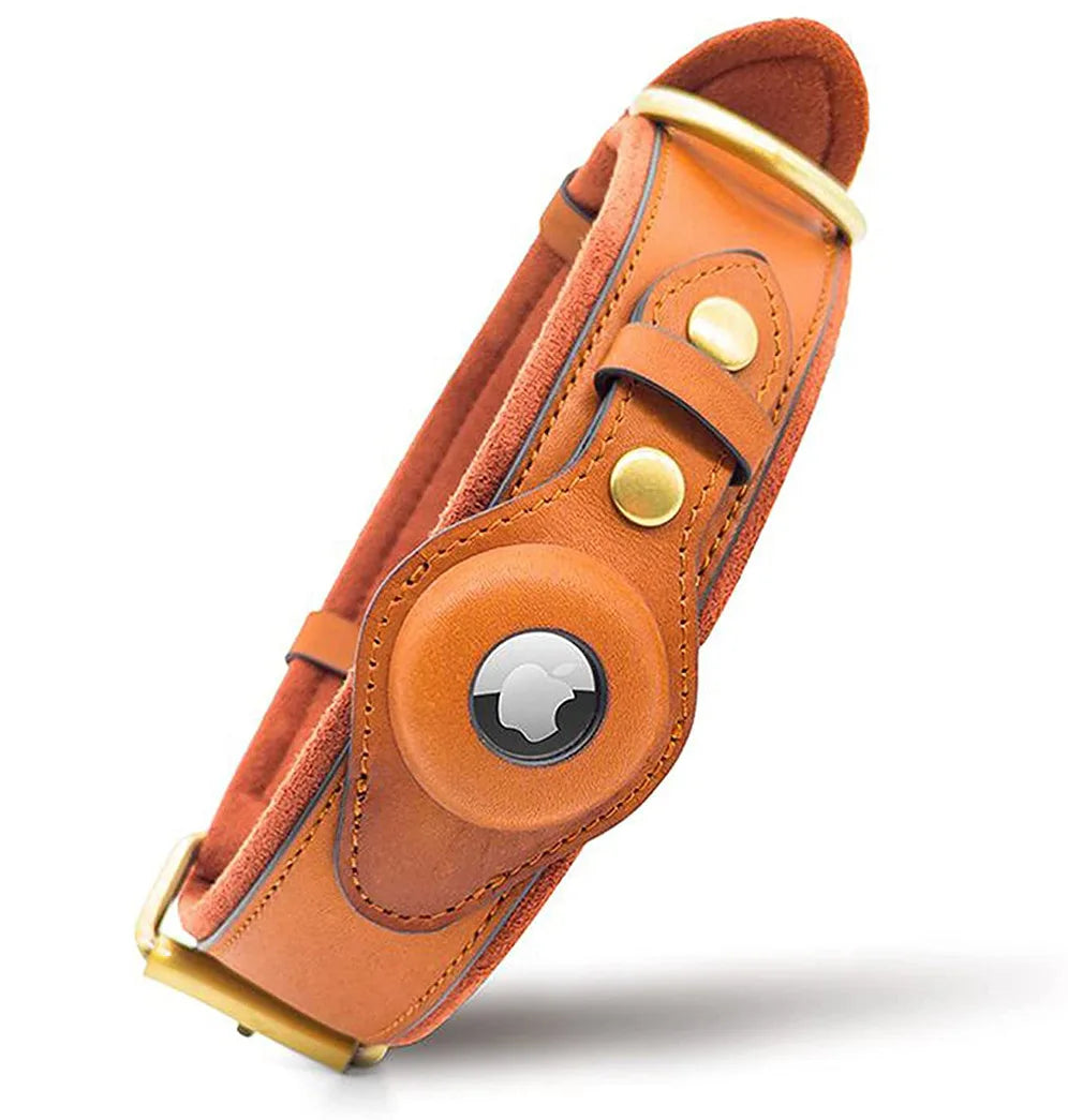 TrackPaw Secure Collar